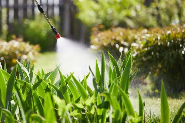 24/7 Emergency Rodent Control experts in Highland, KS