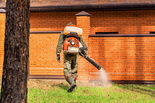 Trusted Rodent Control service in Highland, KS - Nex Pest Control